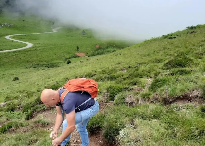 Knus Tiny House La Coume 公寓 Biert