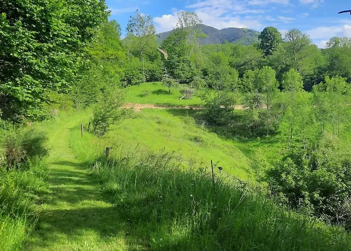 公寓 Knus Tiny House La Coume Biert